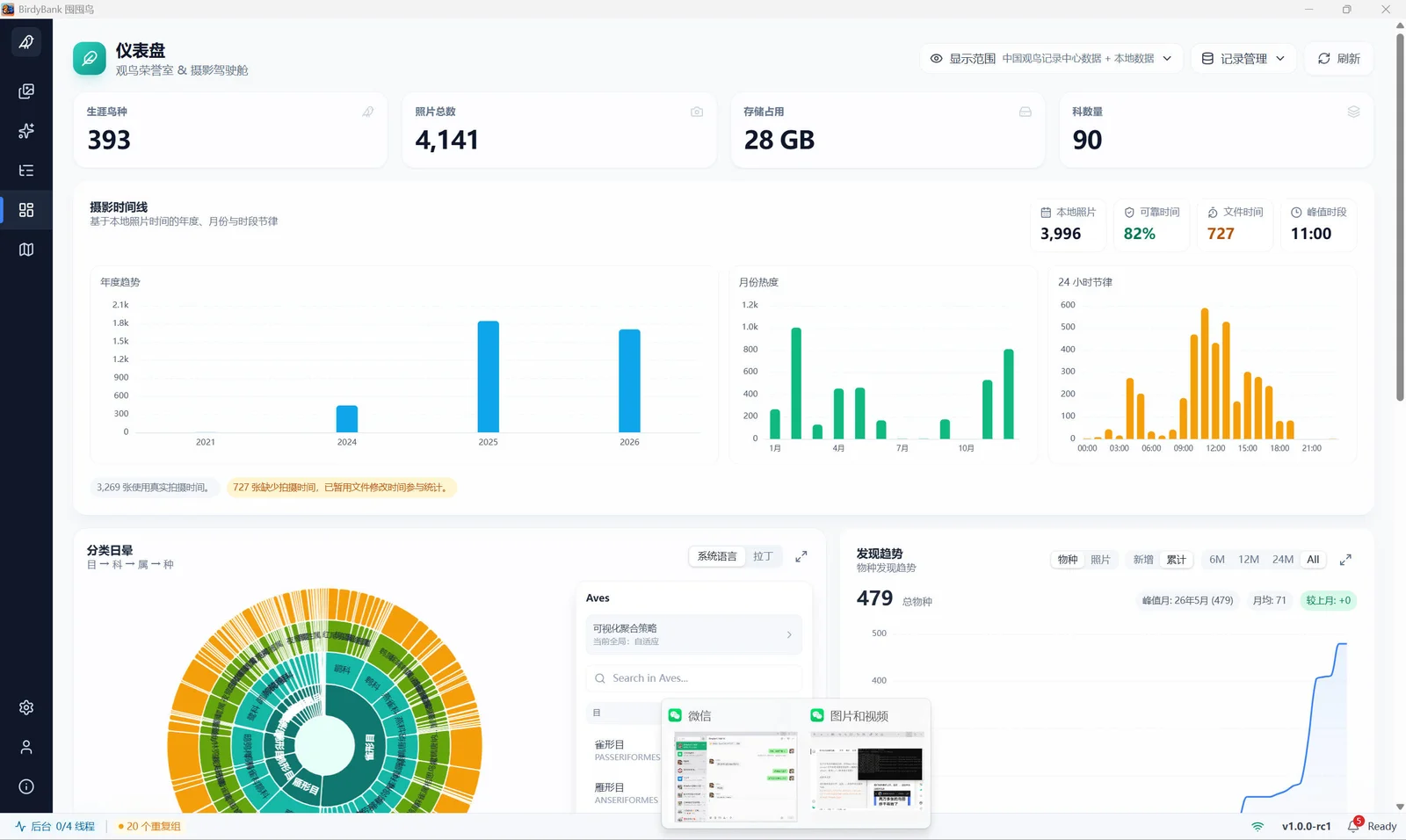 Summary and insights