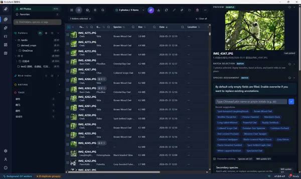 List browsing details