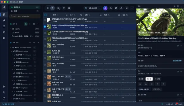 BirdyBank interface detail
