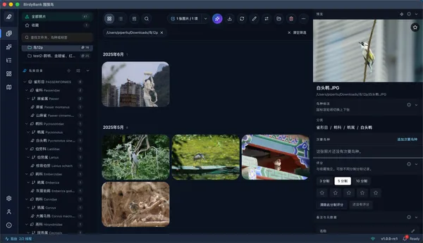 BirdyBank interface detail