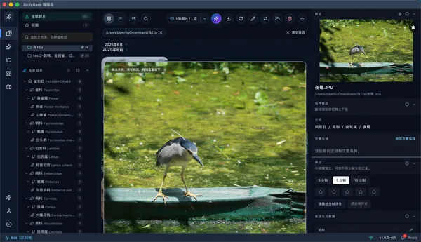 BirdyBank interface detail
