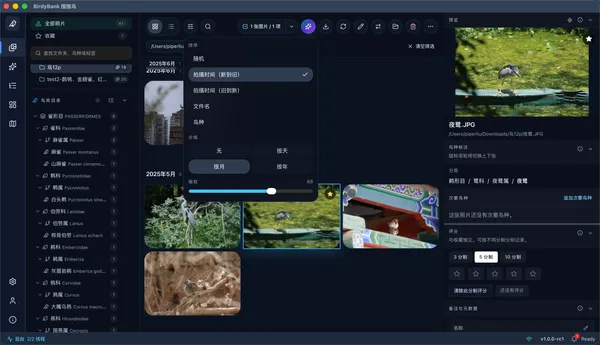BirdyBank interface detail