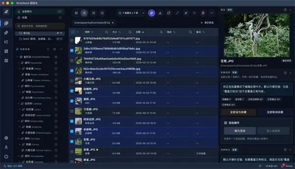 BirdyBank interface detail