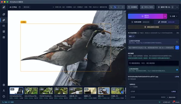 BirdyBank interface detail