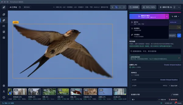 BirdyBank interface detail