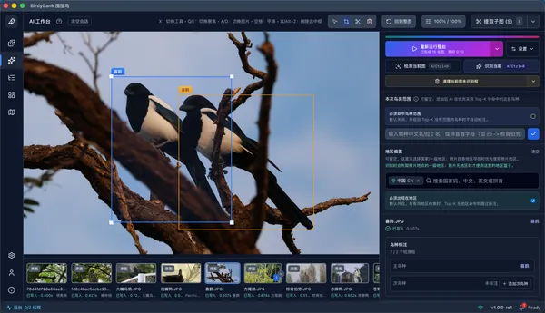 BirdyBank interface detail