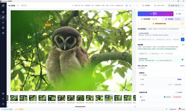 BirdyBank interface detail