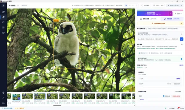 BirdyBank interface detail